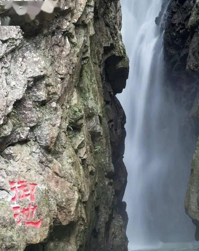 春雨直播app